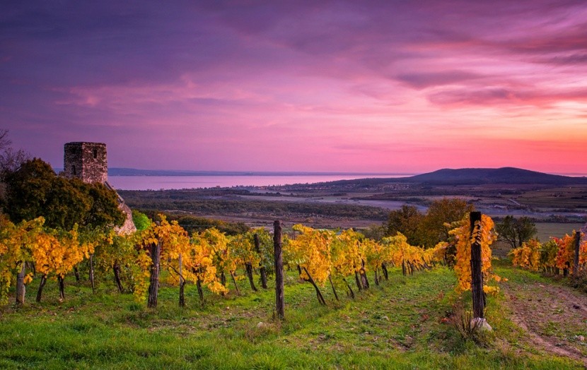balaton